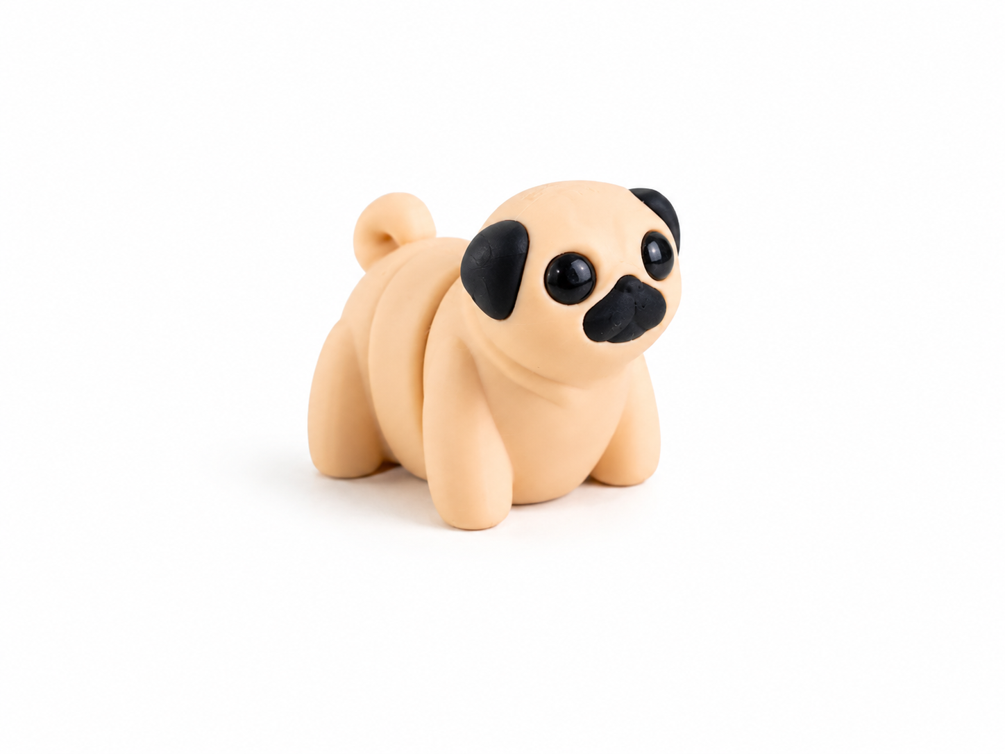 Pug